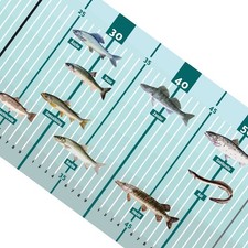 Fischlineal Fischmaßband