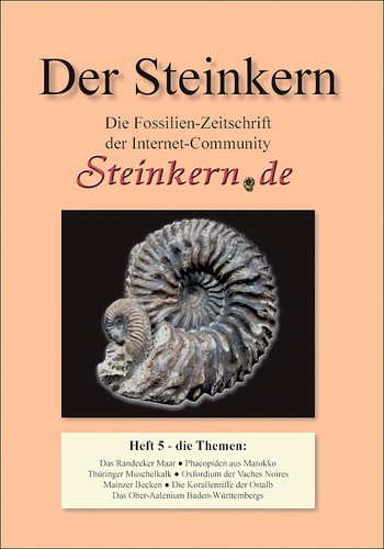 Der steinkern - steinkern, 5