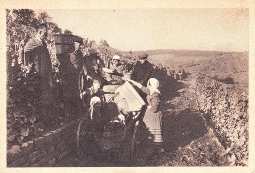 Strümpfelbach remstal - strümpfelbach, im